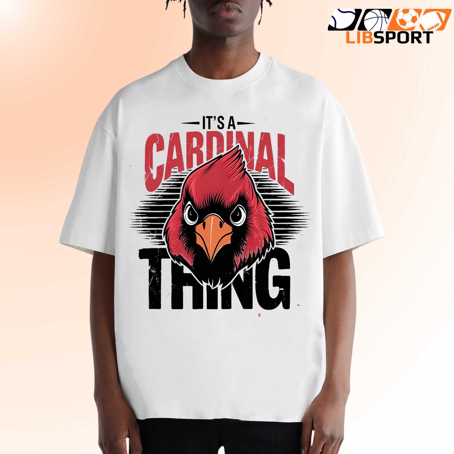 Arizona Cardinals Unisex T Shirt, Nfl Graphic Tee, Game Day Shirt